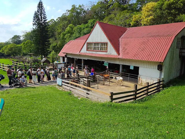 飛牛牧場 - 牧場生態區 - 乳牛媽媽的家 飛牛牧場 - 牧場生態區 - 乳牛媽媽的家