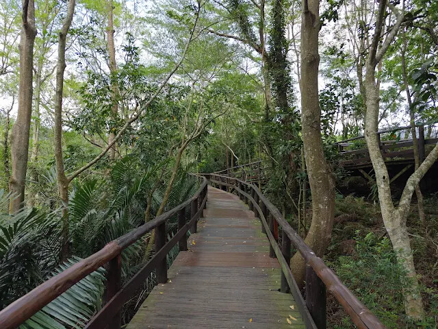 飛牛牧場 - 牧場生態區 - 木棧道 飛牛牧場 - 牧場生態區 - 木棧道