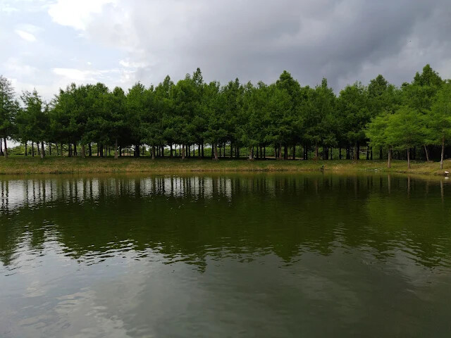 A2 水岸 - 黑森林