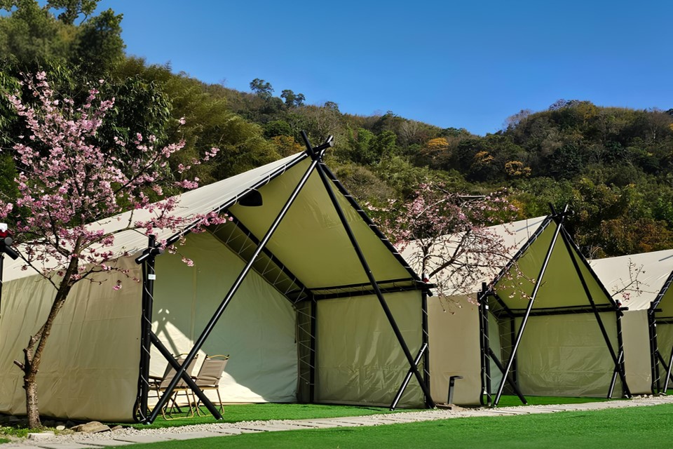 苗栗縣泰安鄉想辦迎新、團建、家庭日?中台灣特色場地幫你搞定!