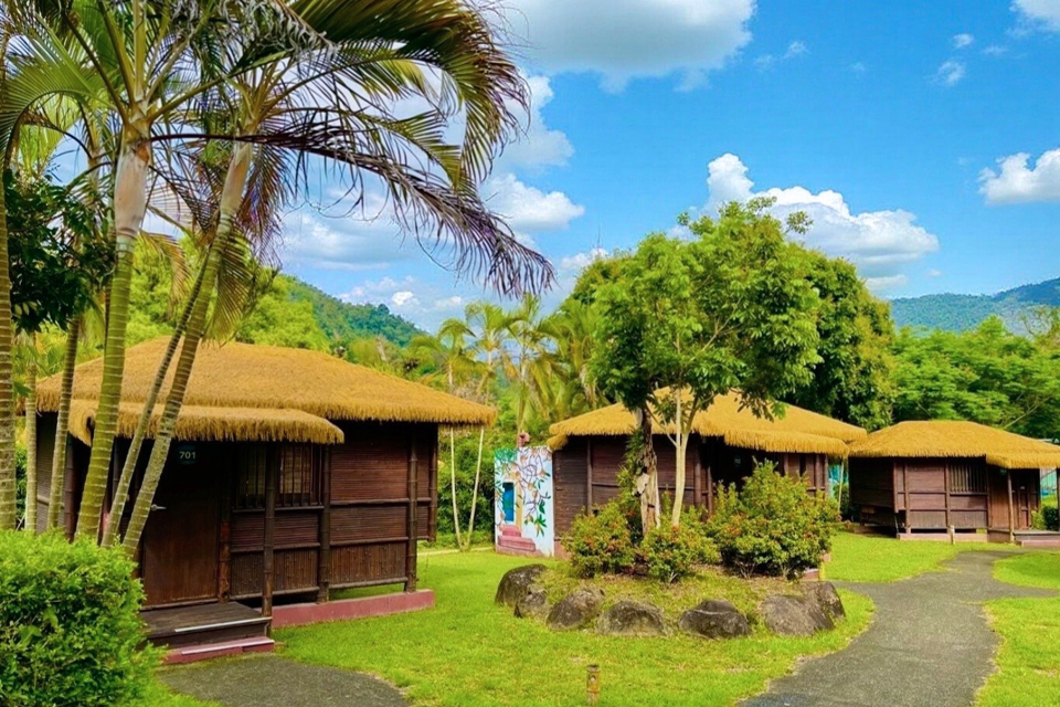 苗栗縣泰安鄉想辦迎新、團建、家庭日?中台灣特色場地幫你搞定!