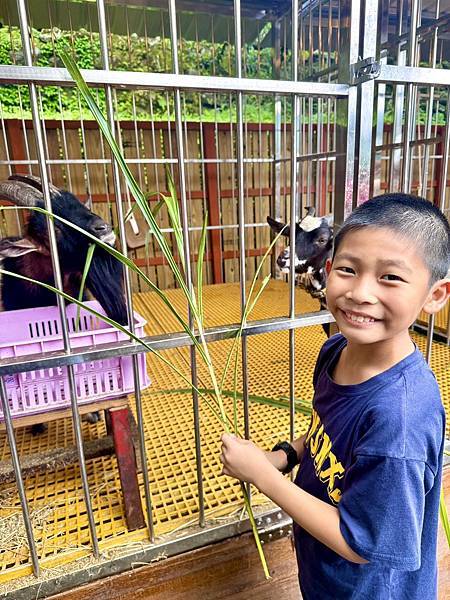 【新月塢溫泉】夜間泡湯體驗、美人湯的秘密、靜謐山林的完美輕旅