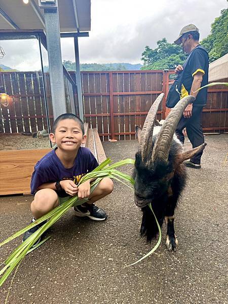 【新月塢溫泉】夜間泡湯體驗、美人湯的秘密、靜謐山林的完美輕旅
