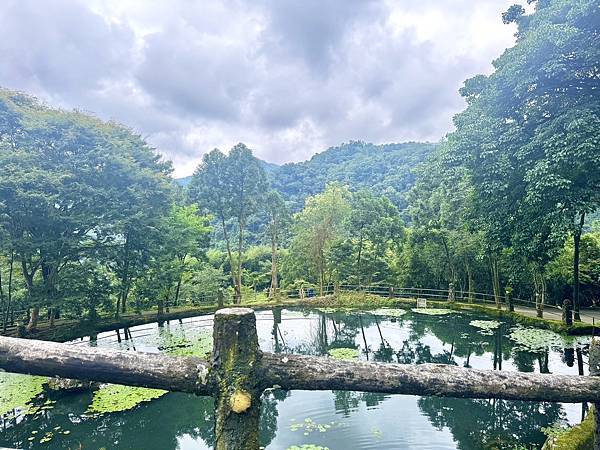 【新月塢溫泉】夜間泡湯體驗、美人湯的秘密、靜謐山林的完美輕旅
