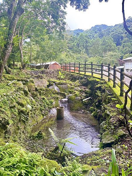 【新月塢溫泉】夜間泡湯體驗、美人湯的秘密、靜謐山林的完美輕旅