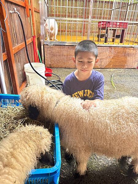 【新月塢溫泉】夜間泡湯體驗、美人湯的秘密、靜謐山林的完美輕旅