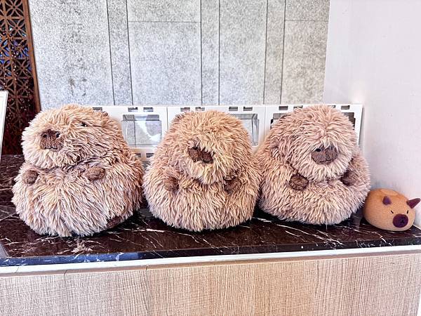 【新月塢溫泉】夜間泡湯體驗、美人湯的秘密、靜謐山林的完美輕旅