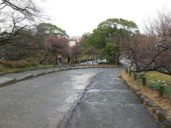 【日本福岡自助行】博多車站附近美食、景點推薦｜福岡15大景點