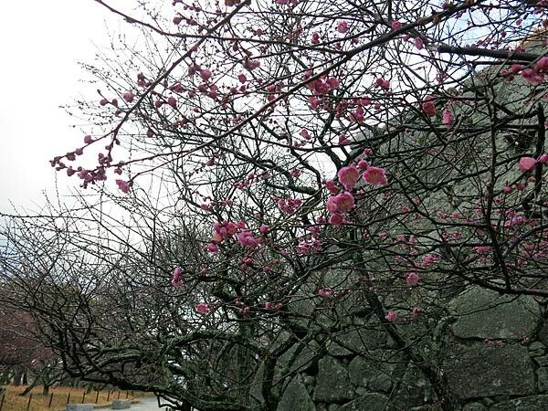【日本福岡自助行】博多車站附近美食、景點推薦｜福岡15大景點