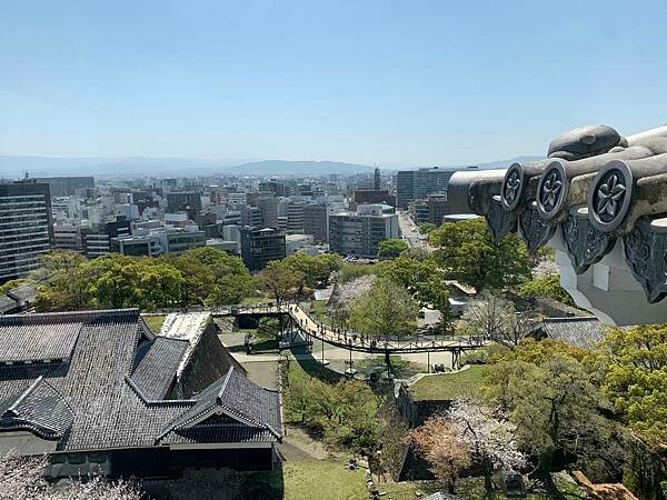 [日本][九州][熊本][景點] 熊本城櫻花 | 熊本城賞櫻