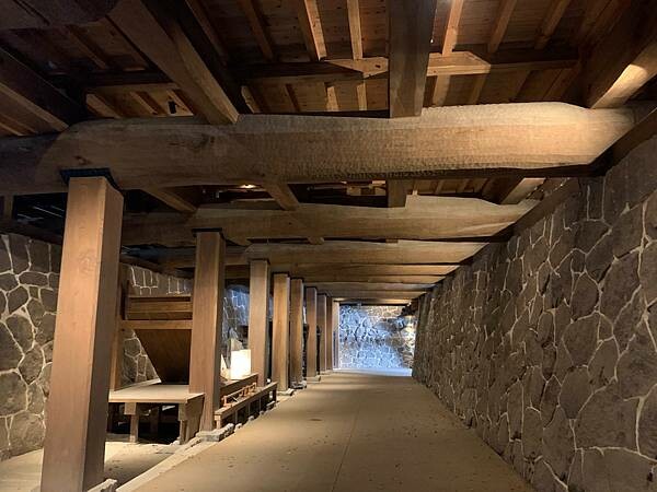 [日本][九州][熊本][景點] 熊本城櫻花 | 熊本城賞櫻