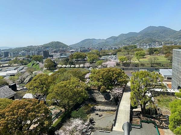 [日本][九州][熊本][景點] 熊本城櫻花 | 熊本城賞櫻