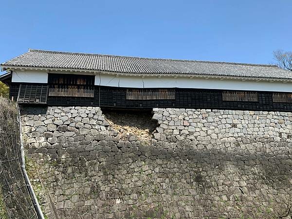 [日本][九州][熊本][景點] 熊本城櫻花 | 熊本城賞櫻