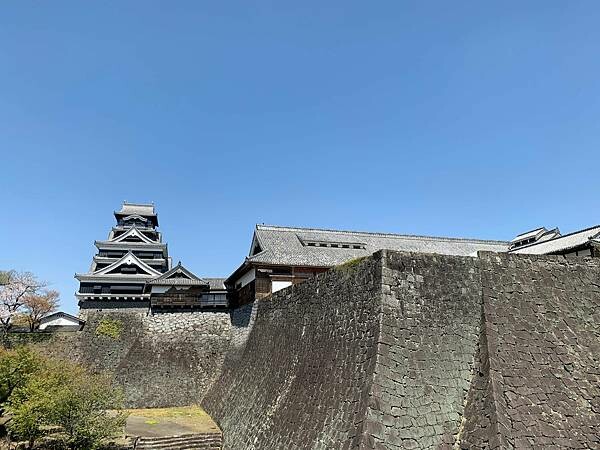 [日本][九州][熊本][景點] 熊本城櫻花 | 熊本城賞櫻