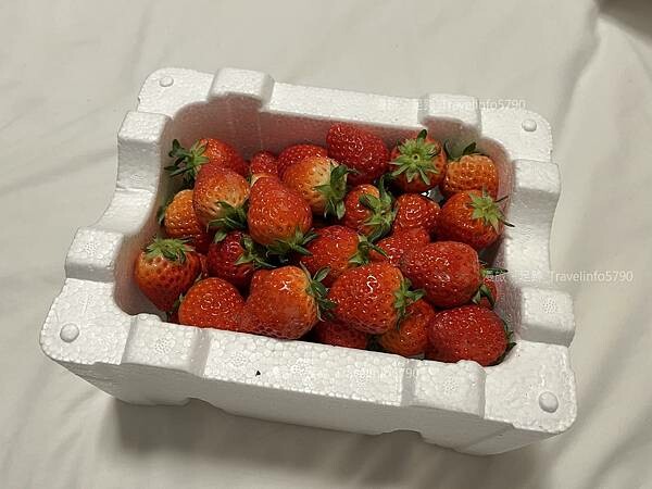 [南韓][釜山][美食] BIFF Street | BIF