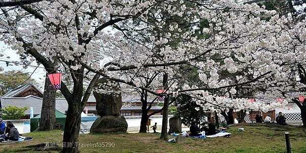LINE_ALBUM_202403日本福岡_240506_97.jpg