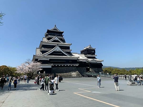 [日本][九州][熊本][景點] 熊本城櫻花 | 熊本城賞櫻