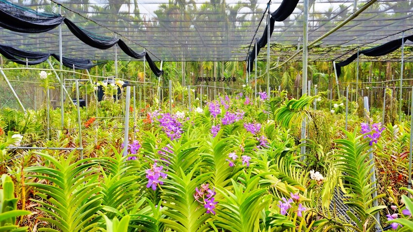 /tmp/phpN0KuJP /tmp/phpN0KuJP