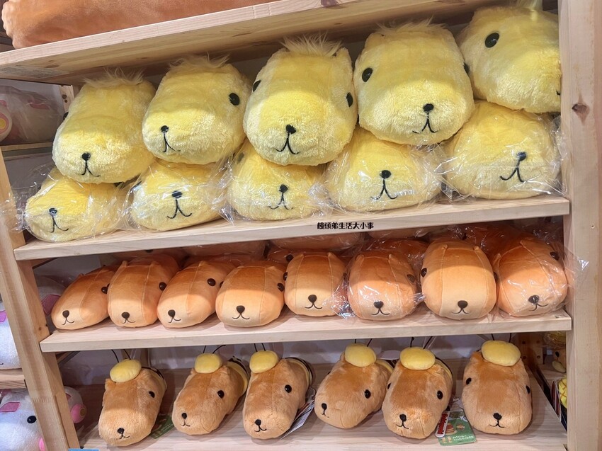 /tmp/phpEMh9U6 /tmp/phpEMh9U6