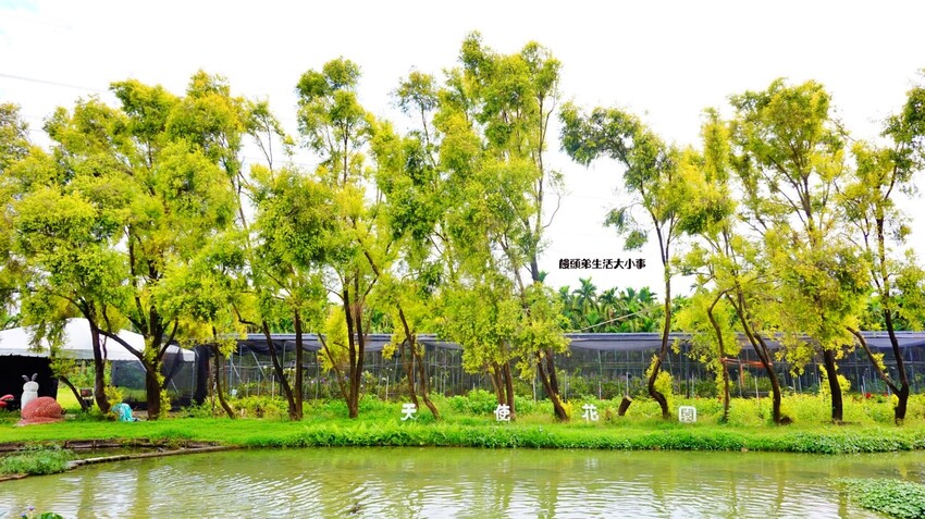 /tmp/phpyUnODP /tmp/phpyUnODP