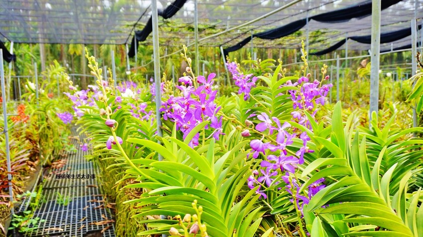 /tmp/phpZtSqFG /tmp/phpZtSqFG