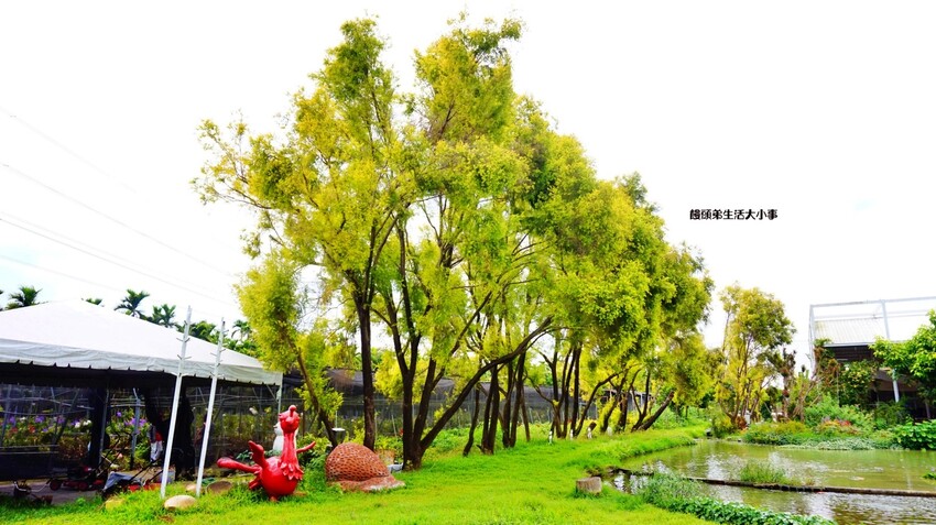 /tmp/phpoBMZoj /tmp/phpoBMZoj