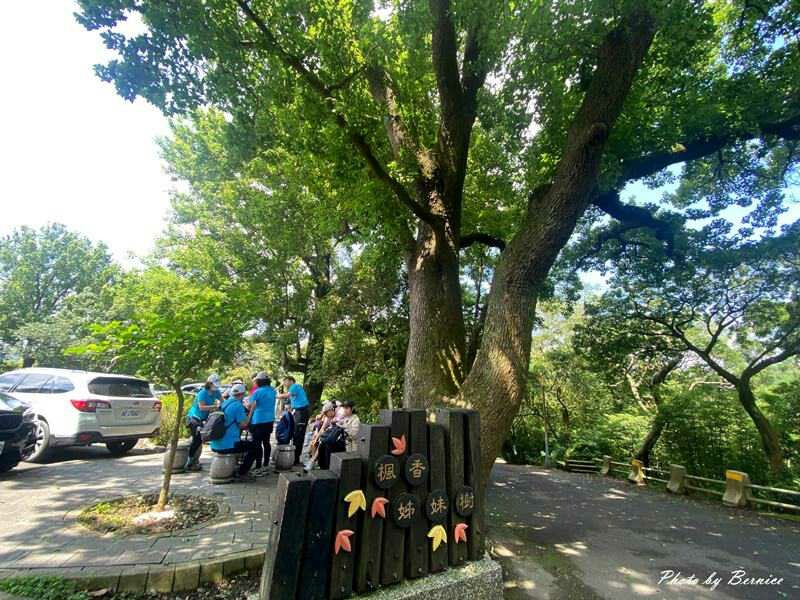 橫嶺古道~遇見台灣獼猴與竹林裡的京都感 @Bernice的隨手筆記
