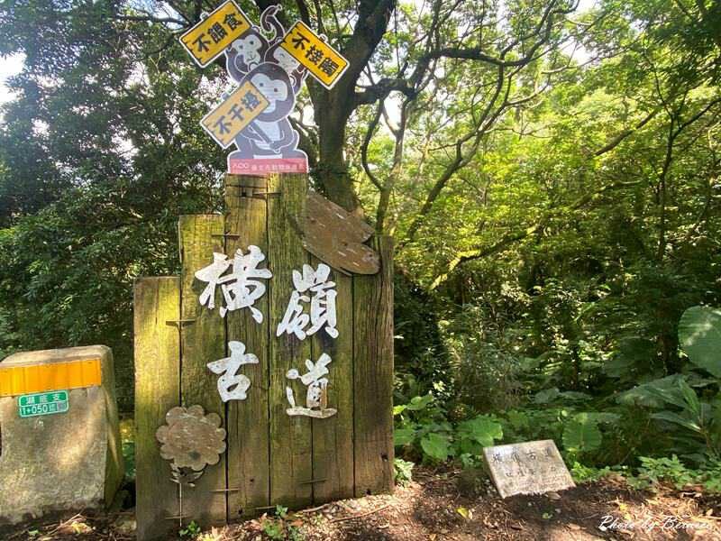 橫嶺古道~遇見台灣獼猴與竹林裡的京都感 @Bernice的隨手筆記