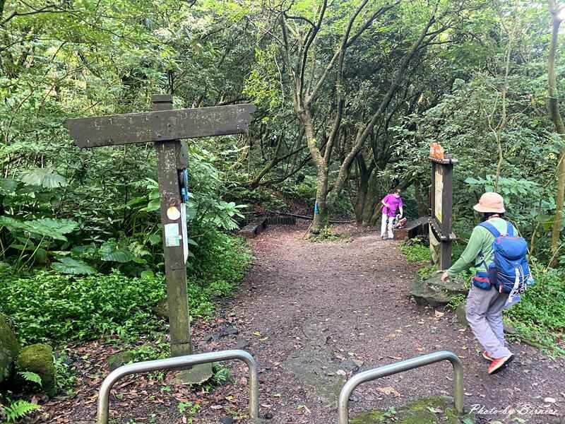 橫嶺古道~遇見台灣獼猴與竹林裡的京都感 @Bernice的隨手筆記