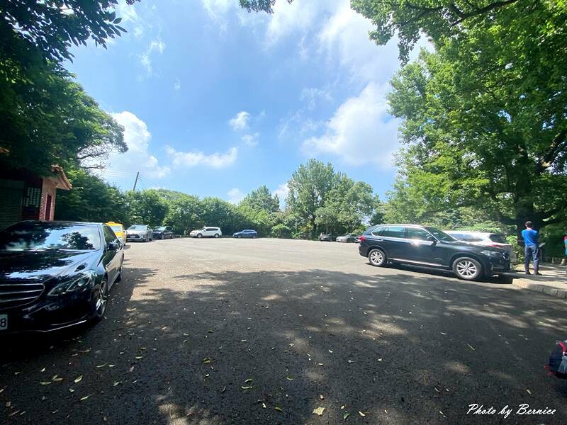 橫嶺古道~遇見台灣獼猴與竹林裡的京都感 @Bernice的隨手筆記