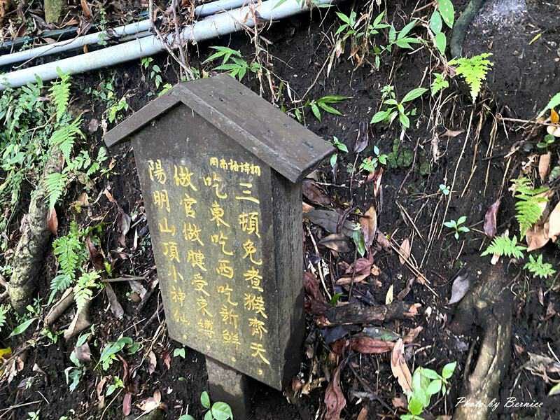 橫嶺古道~遇見台灣獼猴與竹林裡的京都感 @Bernice的隨手筆記