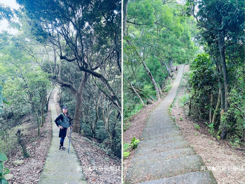 藤山步道!彰化員林熱門健行路線,油桐花季美景、在地美食全導覽