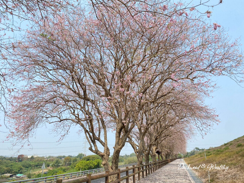 台南六甲一日遊攻略,深度漫遊六甲小鎮,必訪景點美食全收錄