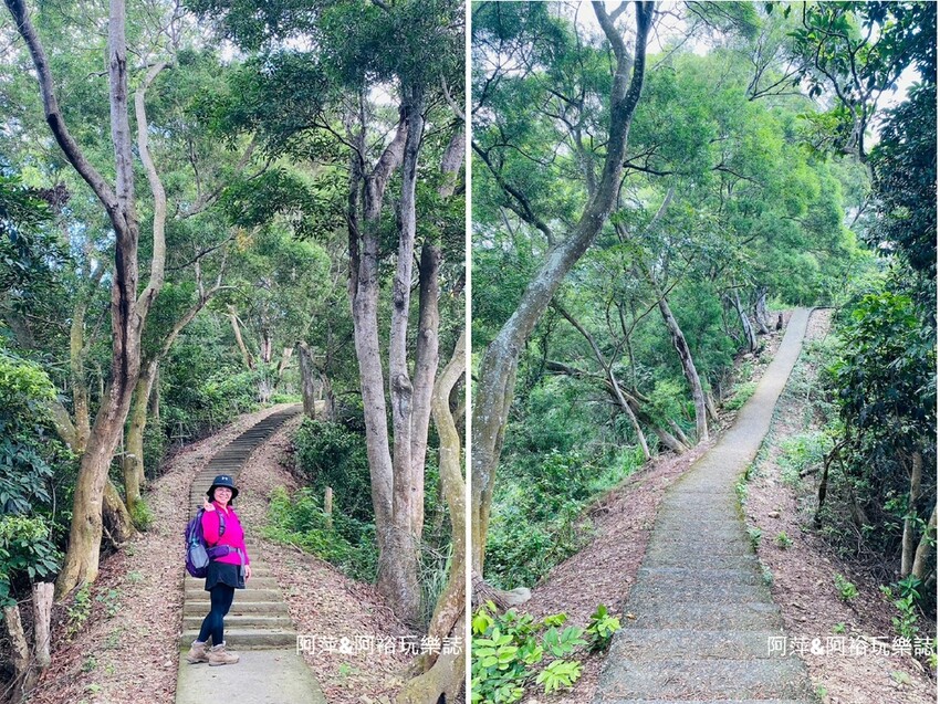 藤山步道!彰化員林熱門健行路線,油桐花季美景、在地美食全導覽