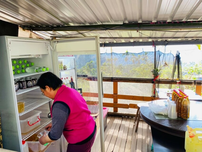 嘉義梅山竹坑溪步道！龍宮瀑布水濂洞秘境，感受大自然磅礴力量。