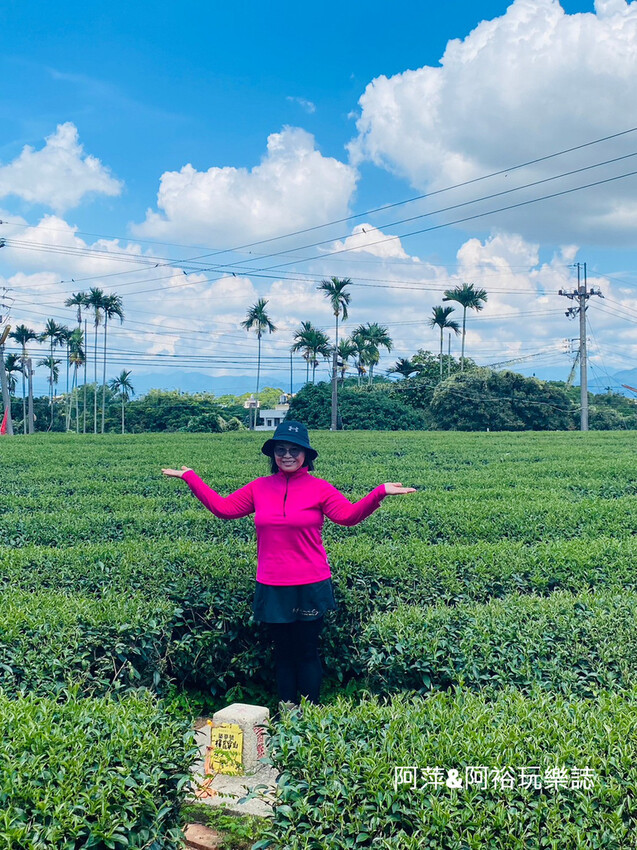 藤山步道!彰化員林熱門健行路線,油桐花季美景、在地美食全導覽