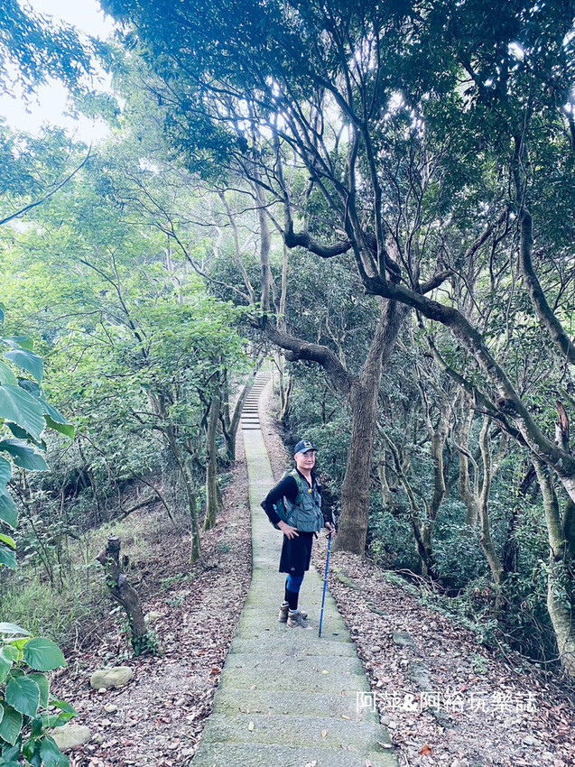 藤山步道!彰化員林熱門健行路線,油桐花季美景、在地美食全導覽