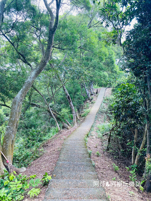 藤山步道!彰化員林熱門健行路線,油桐花季美景、在地美食全導覽