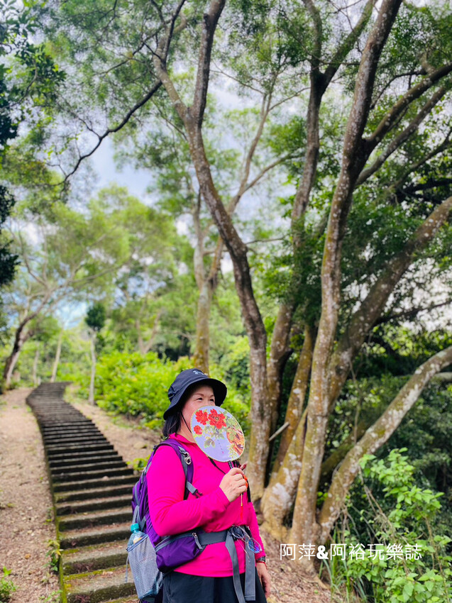 藤山步道!彰化員林熱門健行路線,油桐花季美景、在地美食全導覽