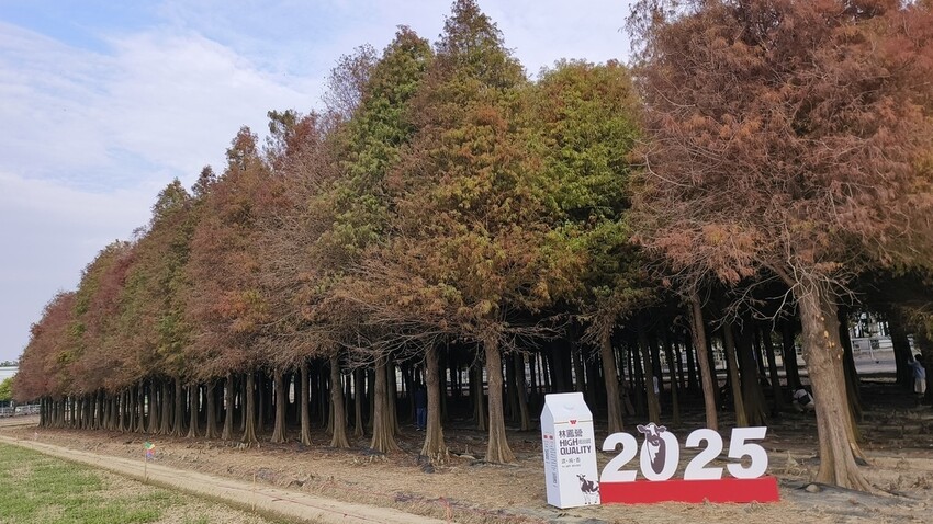 台南六甲一日遊攻略,深度漫遊六甲小鎮,必訪景點美食全收錄