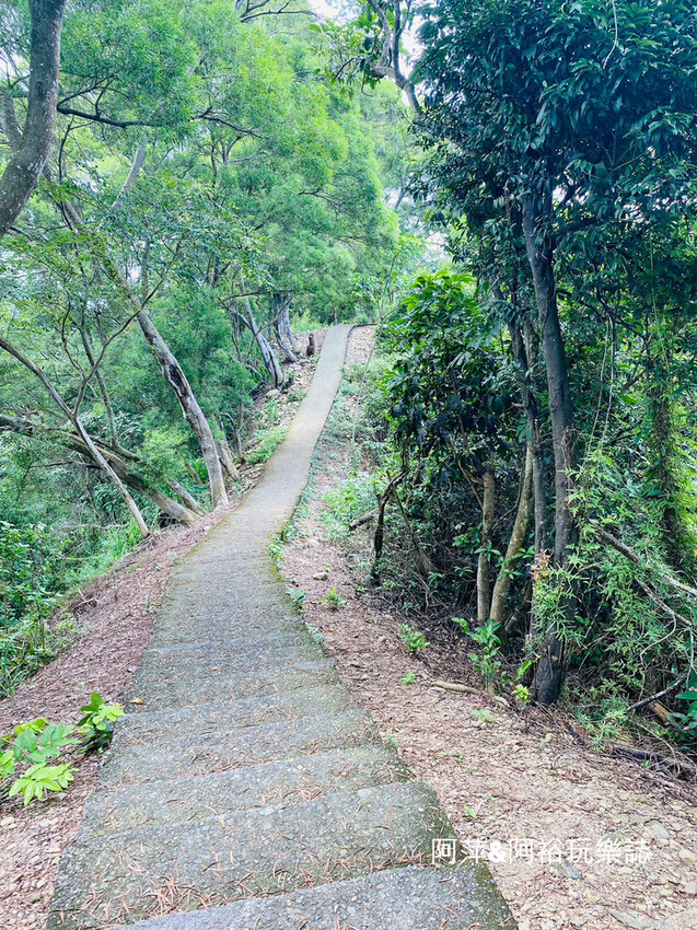 藤山步道!彰化員林熱門健行路線,油桐花季美景、在地美食全導覽