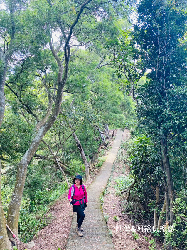 藤山步道!彰化員林熱門健行路線,油桐花季美景、在地美食全導覽