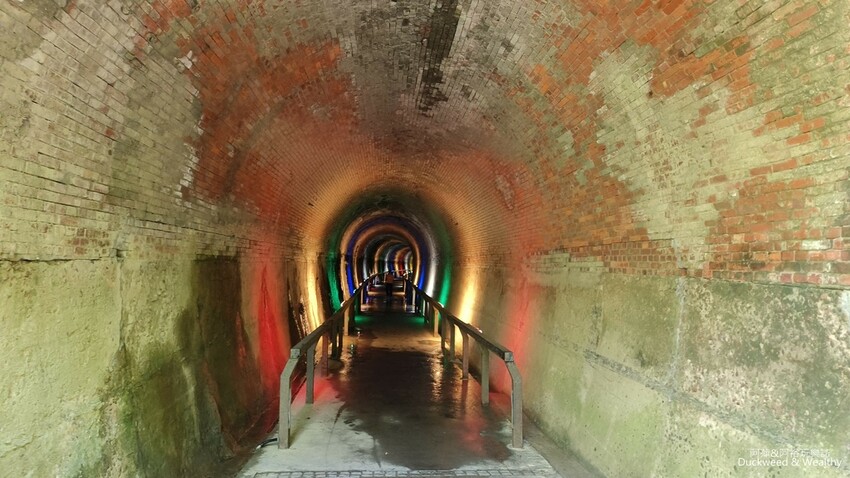 探索後龍過港隧道秘境,百年歷史隧道光影之旅