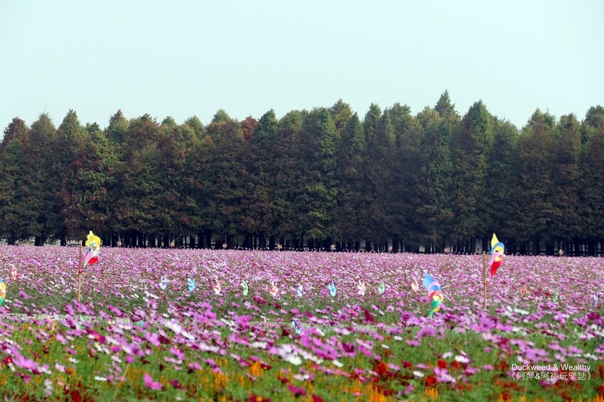 台南六甲一日遊攻略,深度漫遊六甲小鎮,必訪景點美食全收錄