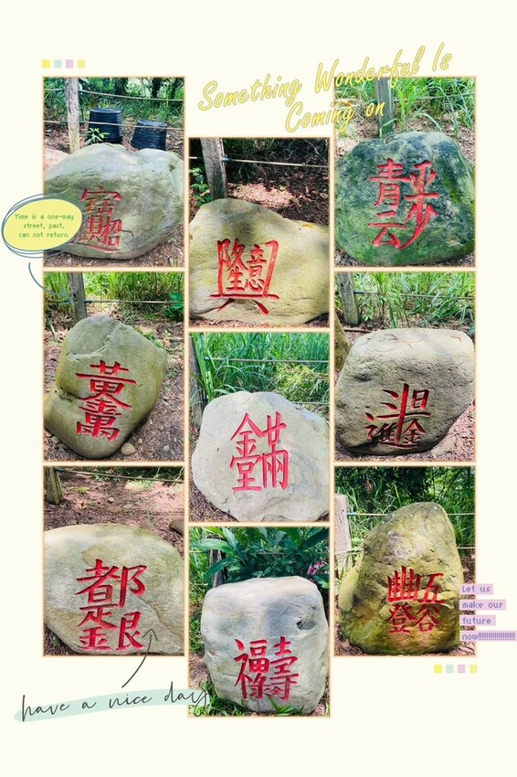 藤山步道!彰化員林熱門健行路線,油桐花季美景、在地美食全導覽