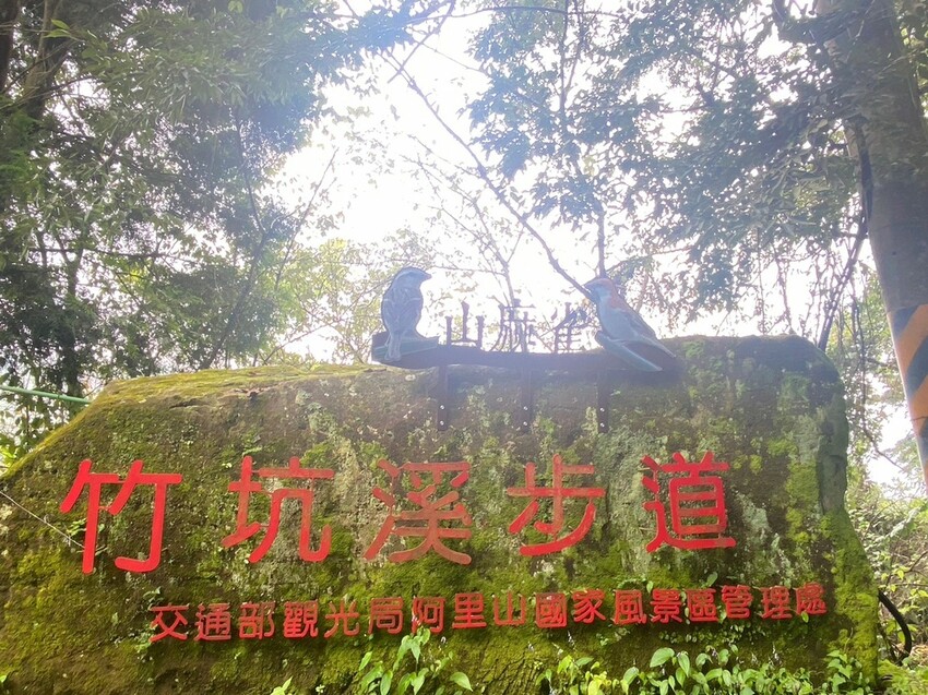 嘉義梅山竹坑溪步道！龍宮瀑布水濂洞秘境，感受大自然磅礴力量。