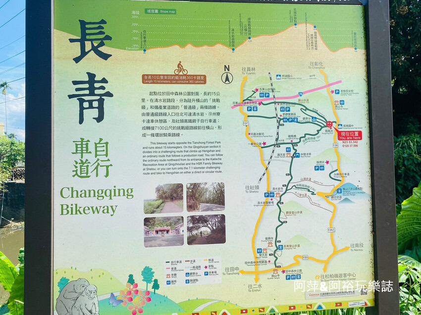 藤山步道!彰化員林熱門健行路線,油桐花季美景、在地美食全導覽