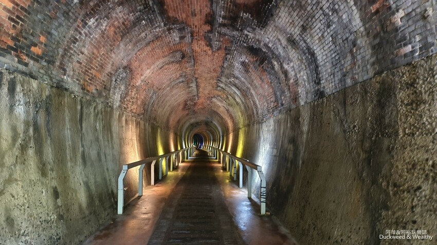 探索後龍過港隧道秘境,百年歷史隧道光影之旅