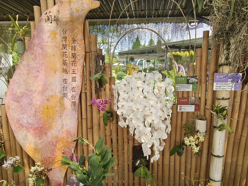 台南六甲一日遊攻略,深度漫遊六甲小鎮,必訪景點美食全收錄