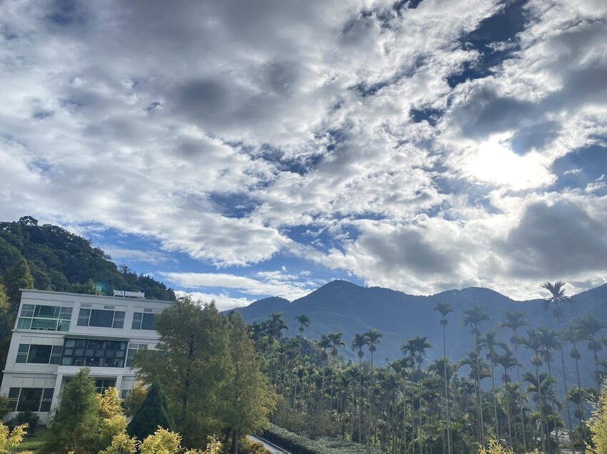 嘉義梅山景點一日遊攻略，暢遊山城、梅山公園賞梅趣，太平雲梯壯麗景色不容錯過